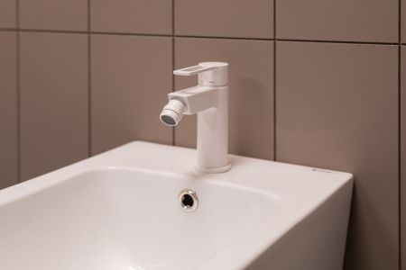 Чаша напольного унитаза Aquanet Rimless Cetus-C1 BL-102N-TPT