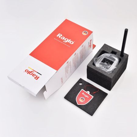 Ершик настенный Raglo R301.10.06, черный