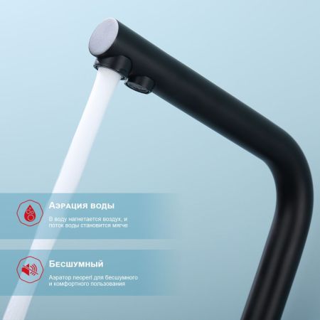 Смеситель для кухни с подключением фильтра Raglo R81.61.06, черный