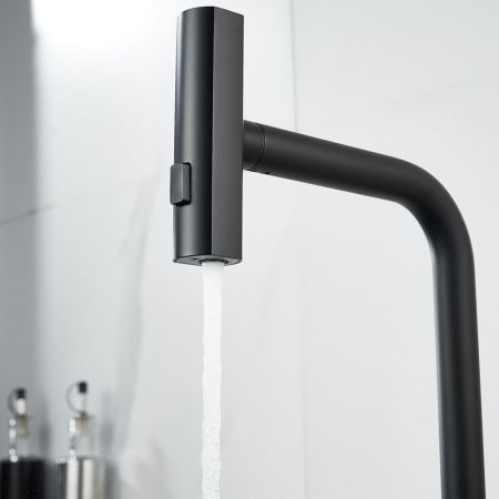 Смеситель для кухни с мультифункциональным изливом Raffine F203H, черный