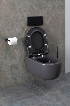 Чаша подвесного унитаза Allen Brau Priority 4.31002.AN антрацит, артикул 4.31002.AN