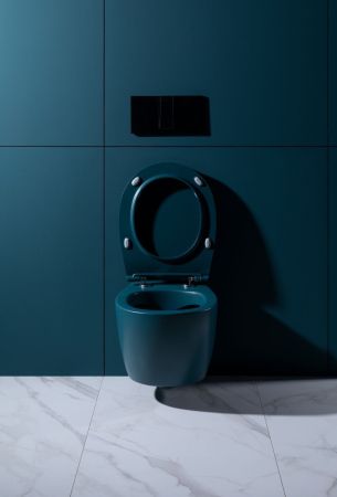 Крышка-сиденье для унитаза Allen Brau Fantasy Soft-Close 4.11005.PT петроль, артикул 4.11005.PT