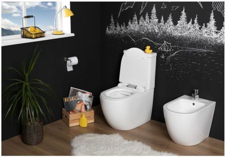 Чаша напольного унитаза Aquanet Rimless Cetus-C1 BL-102N-TPT