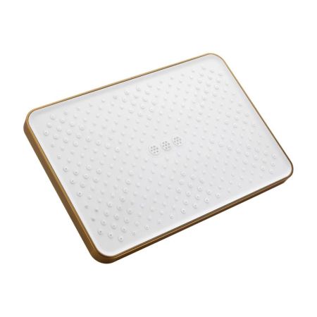 Верхний душ BELZ BD02-5, брашированное золото