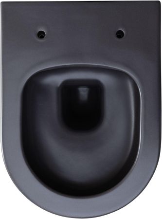 Чаша подвесного унитаза Allen Brau Priority 4.31002.AN антрацит, артикул 4.31002.AN