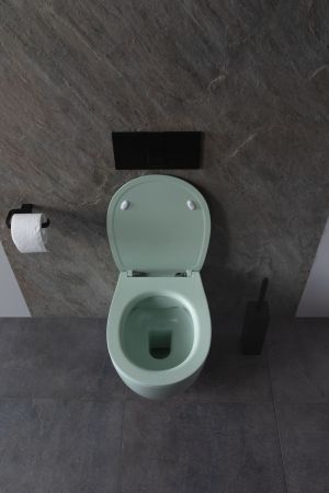 Чаша подвесного унитаза Allen Brau Fantasy 4.11004.MT мятный, артикул 4.11004.MT