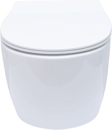 Чаша подвесного унитаза Allen Brau Fantasy 4.11HC1.20 белый глянец, артикул 4.11HC1.20