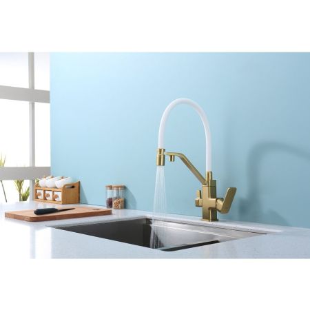 Смеситель для кухни с подключением фильтра Raglo R85.62.03, золотой сатин