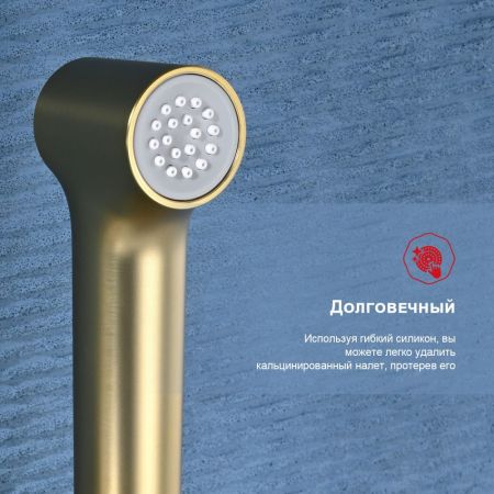 Гигиенический душ со смесителем Raglo R03.51.03, сатин золотой