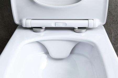 Чаша подвесного унитаза Allen Brau Liberty 4.33007.20 белый, артикул 4.33007.20