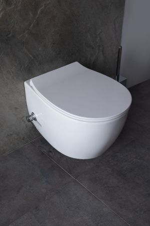 Чаша подвесного унитаза Allen Brau Fantasy 4.11HC1.20 белый глянец, артикул 4.11HC1.20