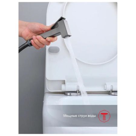 Гигиенический душ со смесителем встраиваемый Raglo R02.54.09, графит