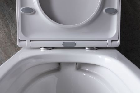 Чаша подвесного унитаза Allen Brau Infinity 4.21004.20 белый глянец, артикул 4.21004.20