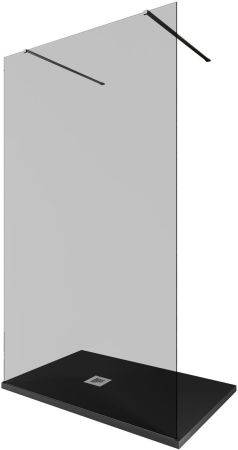 Душевая перегородка Allen Brau Infinity 2 120 3.21044.BA.T серебро браш, артикул 3.21044.BA.T