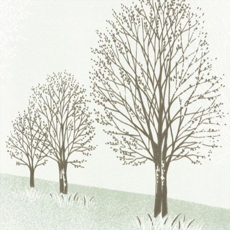 Штора для ванны Ridder Park 200х180 Бежевая, артикул 47838