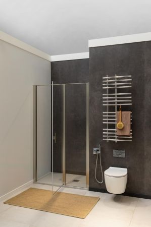 Душевая дверь Allen Brau Priority 120 3.31032.BA серебро браш, артикул 3.31032.BA