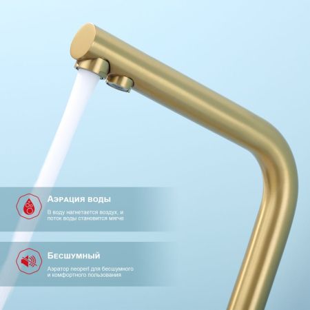 Смеситель для кухни с подключением фильтра Raglo R81.61.03, золотой сатин