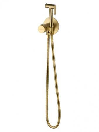 Смеситель с гигиеническим душем и термостатом встраиваемый WONZON & WOGHAND, Брашированное золото (WW-88829909-BG), артикул WW-88829909-BG