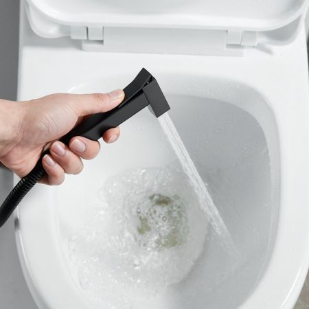 Гигиенический душ со смесителем Raffine F237H, черный