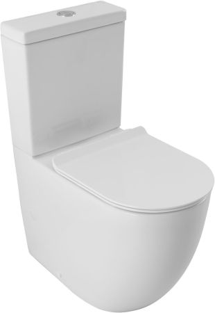 Чаша напольного унитаза Aquanet ZV-2-C1
