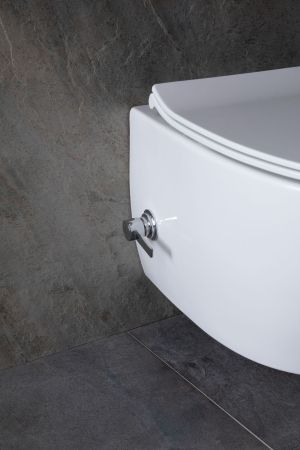 Чаша подвесного унитаза Allen Brau Fantasy 4.11HC1.20 белый глянец, артикул 4.11HC1.20