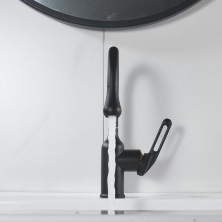 Смеситель для раковины Raffine F101H, черный