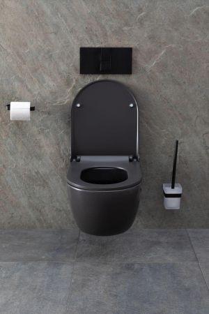 Чаша подвесного унитаза Allen Brau Priority 4.31001.AN антрацит, артикул 4.31001.AN