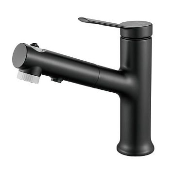 Смеситель для раковины многофункциональный Raffine F281H, черный