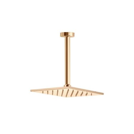 Верхний душ Webert AC0942794, матовое золото, артикул AC0942794