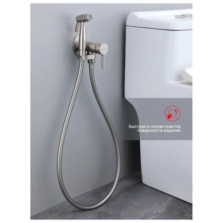 Гигиенический душ со смесителем встраиваемый Raglo R20.54.05, сатин