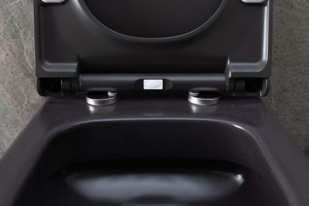 Чаша подвесного унитаза Allen Brau Priority 4.31001.AN антрацит, артикул 4.31001.AN