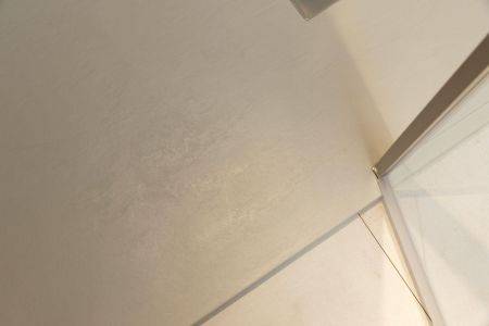 Душевая дверь Allen Brau Priority 120 3.31008.BA серебро браш, артикул 3.31008.BA