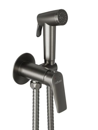 LINER-DIF-GM Гигиенический душ со смесителем, оружейная сталь, артикул LINER-DIF-GM