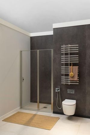 Душевая дверь Allen Brau Priority 120 3.31008.BA серебро браш, артикул 3.31008.BA