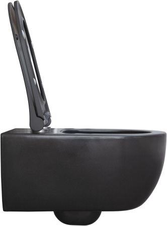 Чаша подвесного унитаза Allen Brau Priority 4.31001.AN антрацит, артикул 4.31001.AN