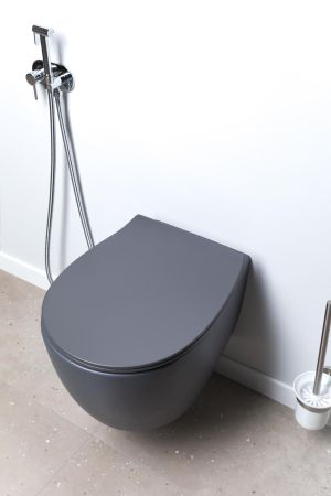 Крышка-сиденье для унитаза Allen Brau Fantasy Smartfix, Soft-Close 4.11005.AN антрацит, артикул 4.11005.AN