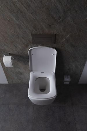 Крышка-сиденье для унитаза Allen Brau Liberty 4.33006.20 белый глянец, артикул 4.33006.20