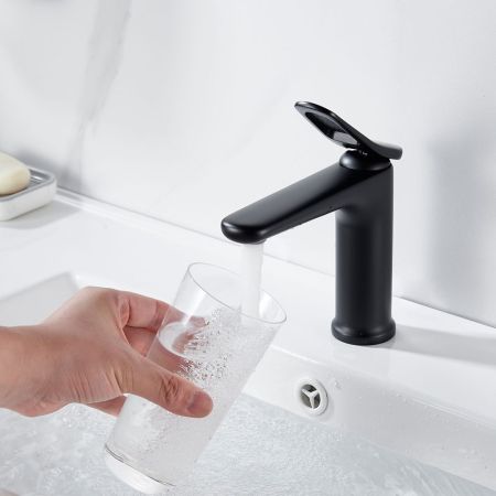 Смеситель для раковины Shevanik S4701H, черный