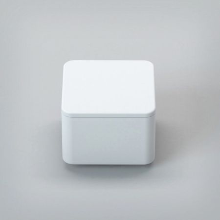 Бокс с крышкой CEZARES TITAN-SQUARE-SCAT, артикул TITAN-SQUARE-SCAT