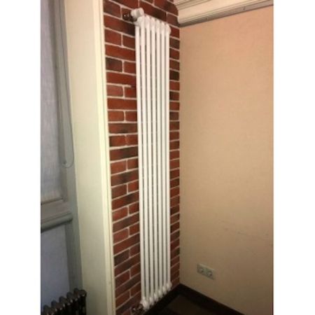 Стальной радиатор Arbonia 2180/06 6 секций с боковым подключением, артикул 2180/06