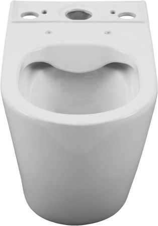 Чаша напольного унитаза Aquanet Rimless Cetus 2.0 C1 LX-2903