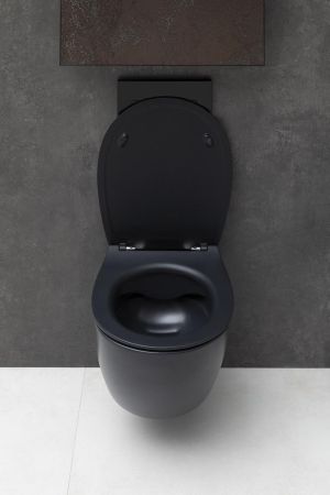 Чаша подвесного унитаза Allen Brau Fantasy 4.11004.31 черный матовый, артикул 4.11004.31