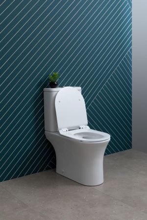 Чаша напольного унитаза Aquanet Rimless Roll 2-C CL-12289, артикул Roll 2-C