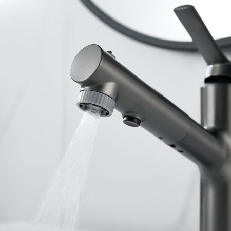 Смеситель для раковины многофункциональный Raffine F281T, оружейная сталь, артикул F281T