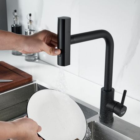 Смеситель для кухни с мультифункциональным изливом Raffine F203H, черный