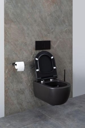 Чаша подвесного унитаза Allen Brau Priority 4.31001.31 черный матовый, артикул 4.31001.31