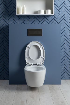 Унитаз подвесной Aquanet ZV-1 белый