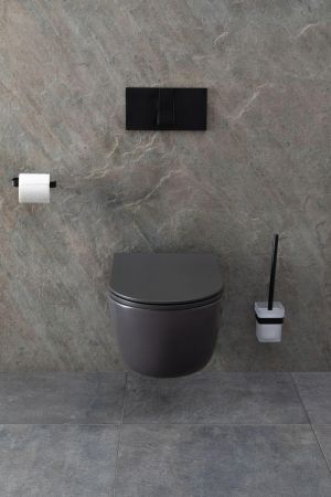 Чаша подвесного унитаза Allen Brau Priority 4.31002.AN антрацит, артикул 4.31002.AN