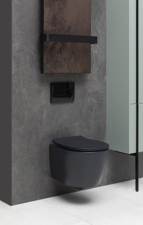 Чаша подвесного унитаза Allen Brau Fantasy 4.11004.31 черный матовый, артикул 4.11004.31