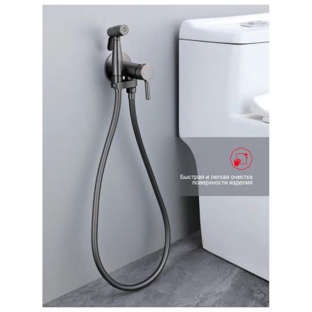 Гигиенический душ со смесителем встраиваемый Raglo R20.54.09, графит